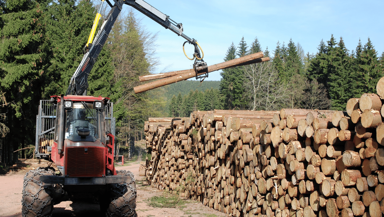 PRL en Selvicultura y trabajos forestales