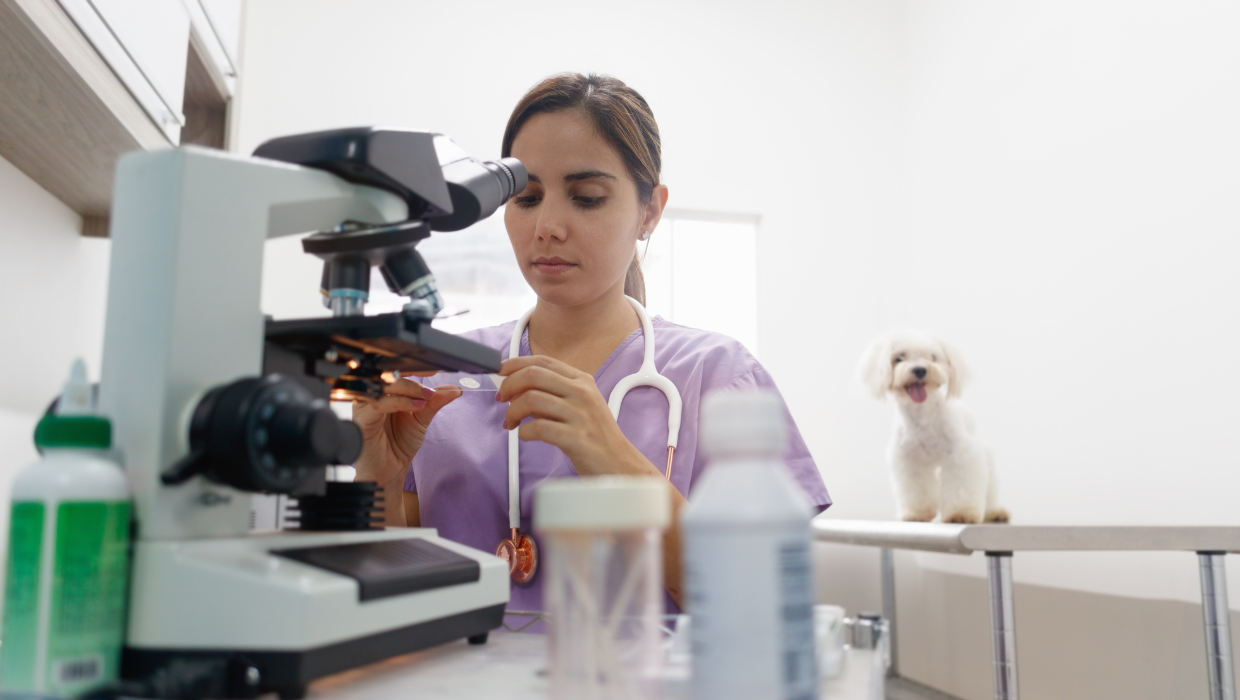 Formación específica PRL por categoría laboral de centros y servicios sanitarios veterinarios: Personal Técnico especialista en laboratorio
