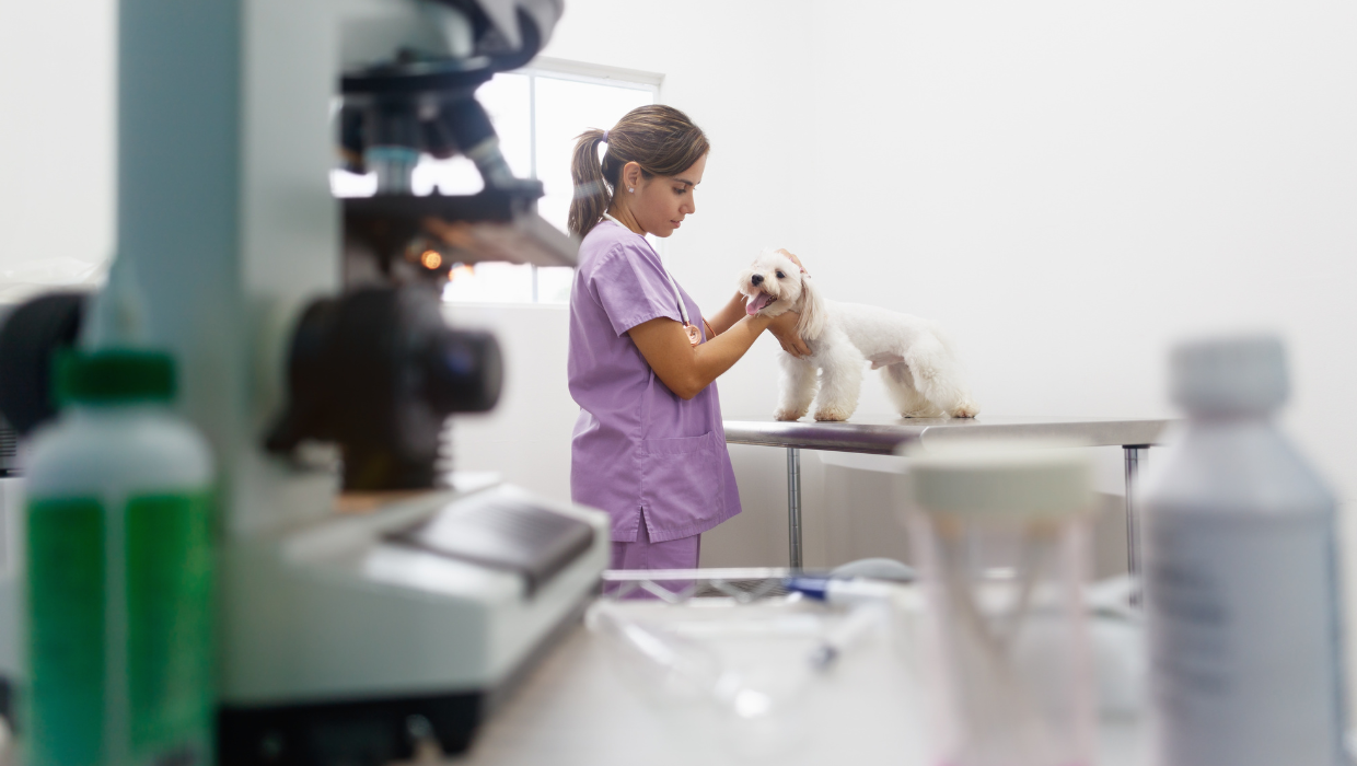 Formación específica PRL por categoría laboral de centros y servicios sanitarios veterinarios: Personal de servicios generales