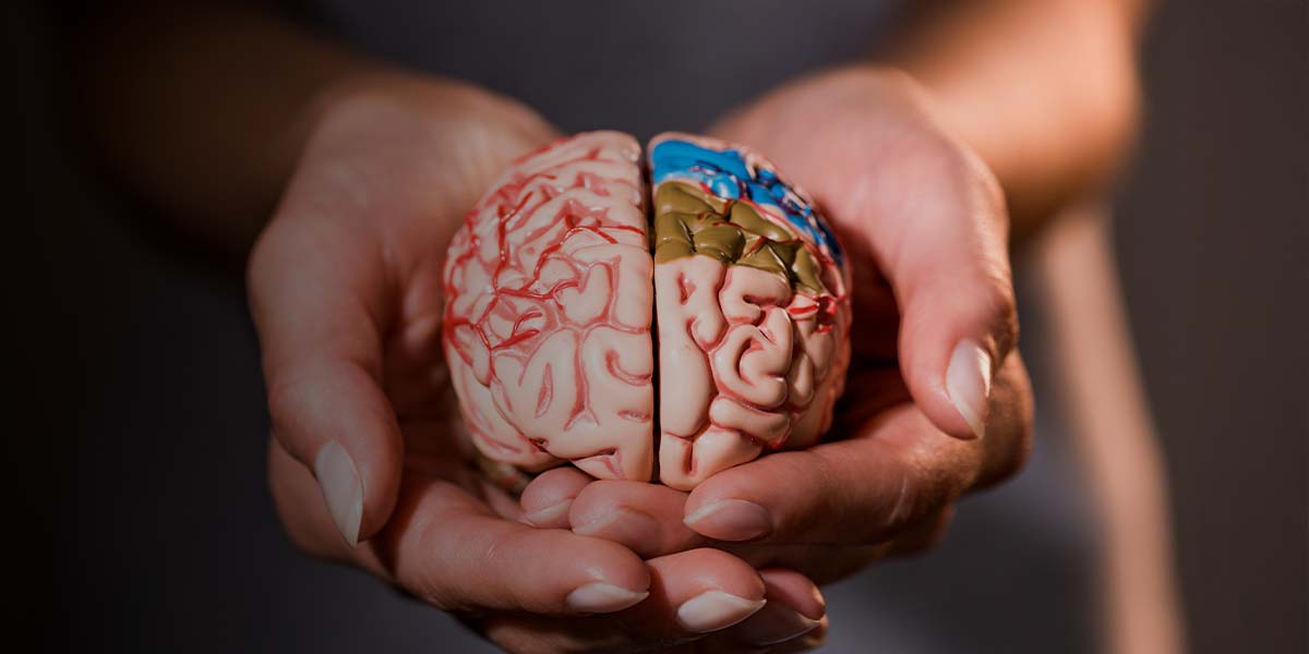 ¿Qué es y para qué sirve la neuropsicología?